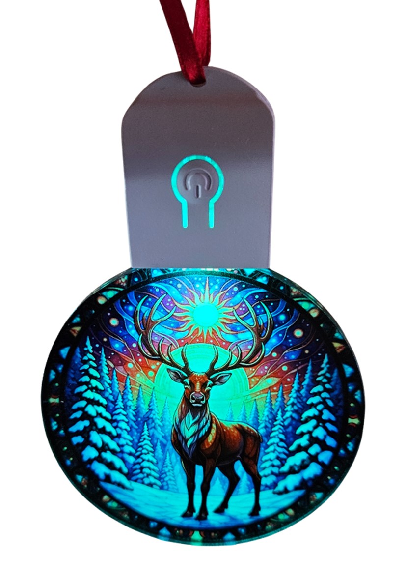 LED Light Up Acrylic Christmas Tree Bauble Hanging Reindeer Stag Snow Ornament